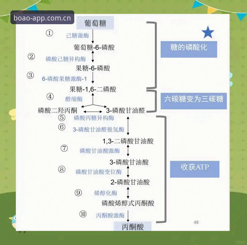 博奥体育专业体验必备 博奥体育专业体验必备:官方正版安装包获取全流程揭秘